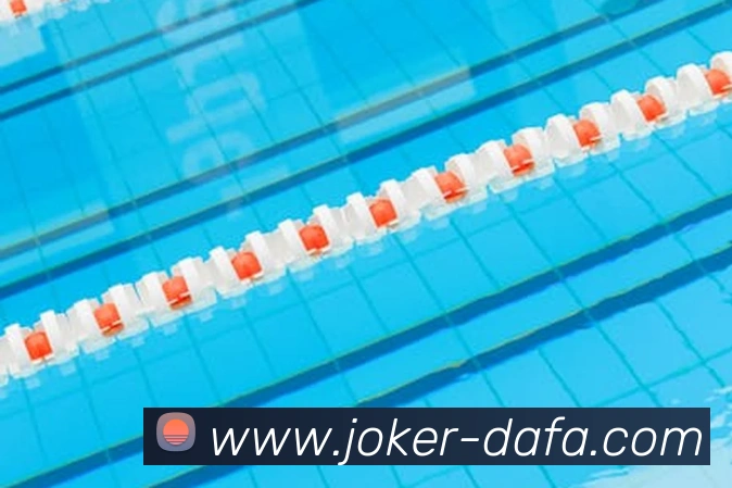 大发官网平台生态图